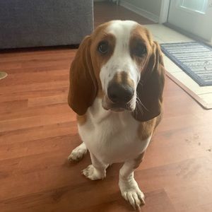 Meet your Posher, Rena